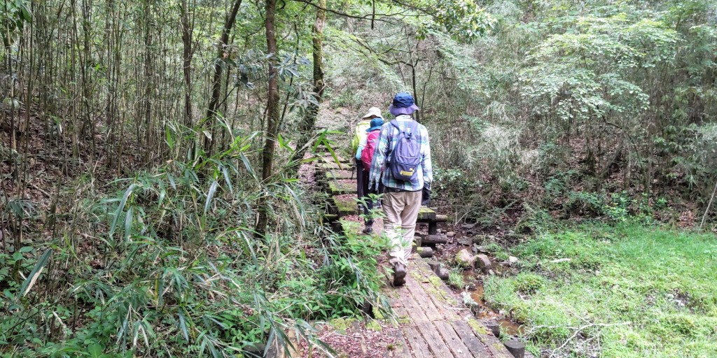 湿地帯の木道を歩く