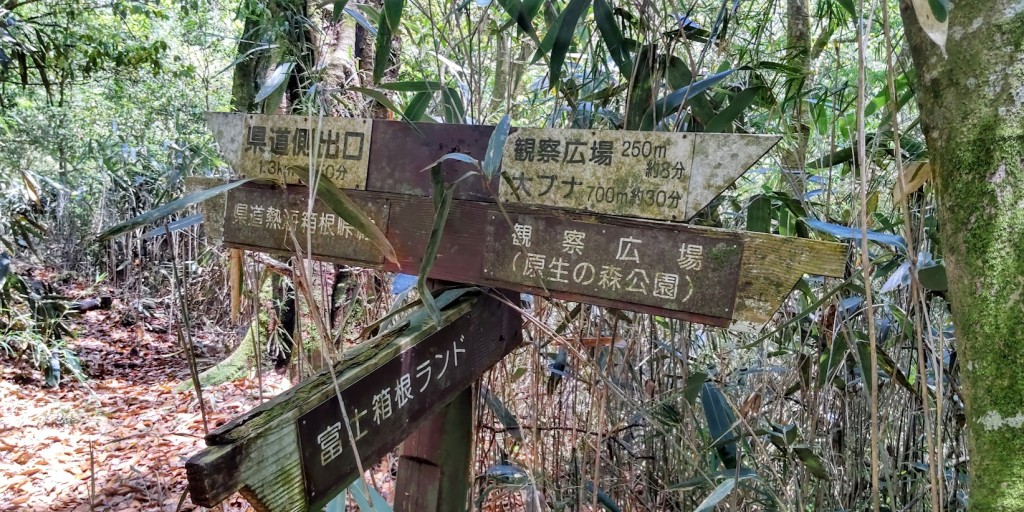 数少ない登山道標識